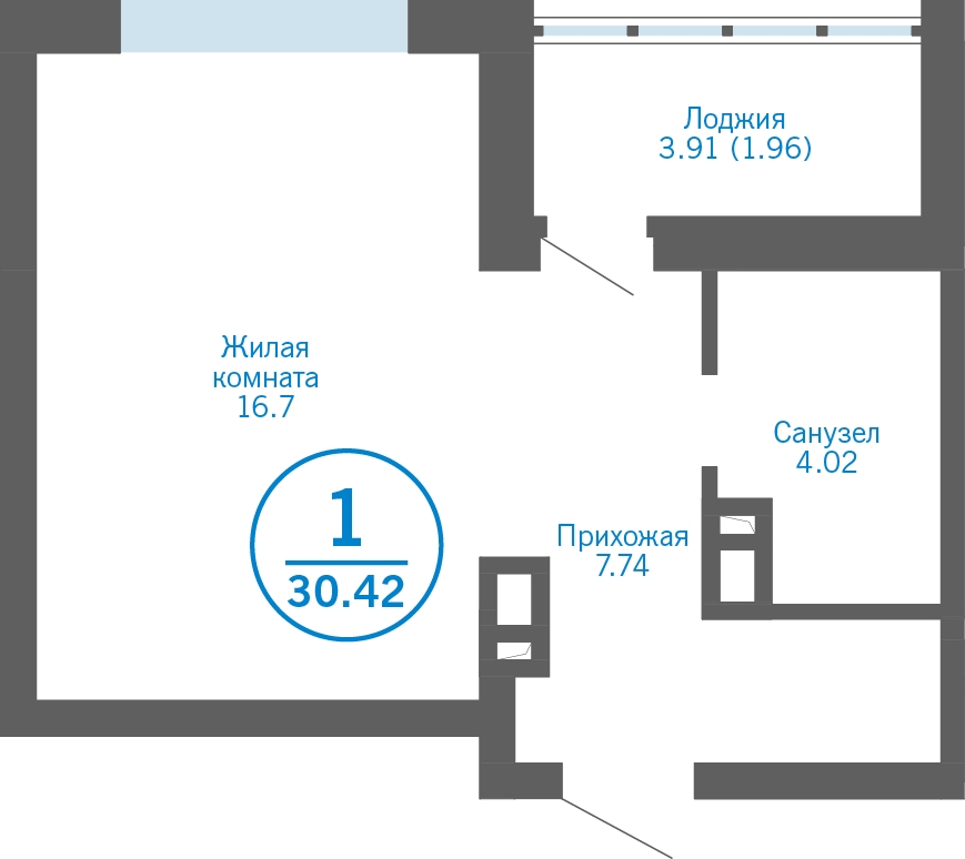 1-комнатная квартира (Студия) с отделкой в ЖК Амурский парк на 3 этаже в 3 секции. Сдача в 3 кв. 2024 г.